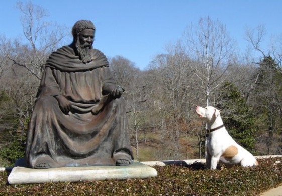 Gus and St Francis